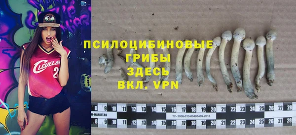 амф Алзамай